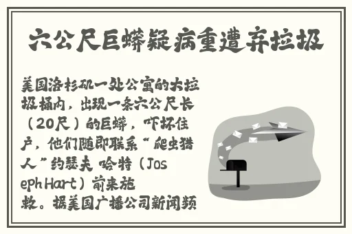 青橙app一分三快三怎么看网站